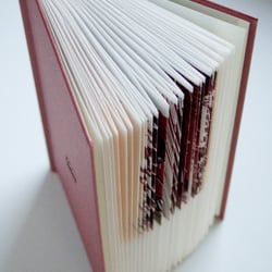 das Buch