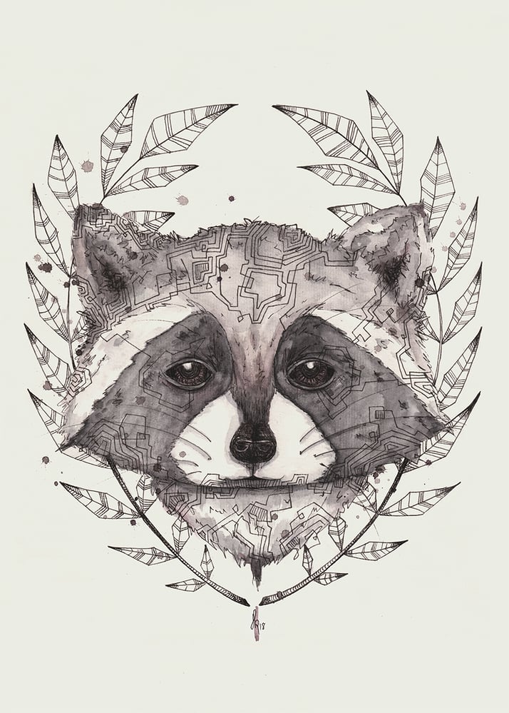 Raccoon