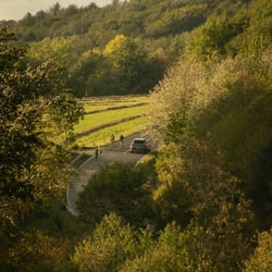 DSC 1392