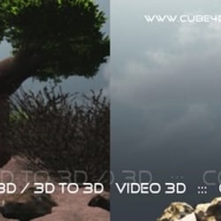 Bild 5: Baum [SideBySide ::: CrossView]