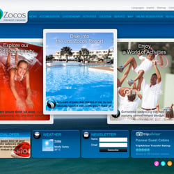 loszocos web