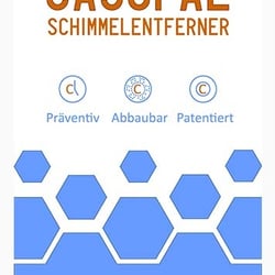 Casopal – IBZ Salzchemie GmbH