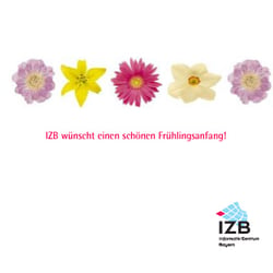 CD Rückseite für Kunde Informatik-Zentrum Bayern