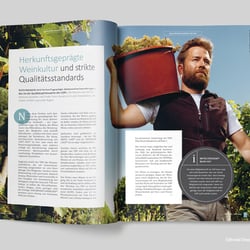 Layout, VDP Magazin Rebzeilen