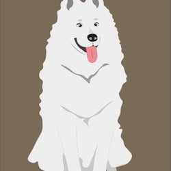 dog4