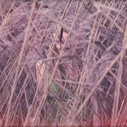 Woman in the field * with actress Monica