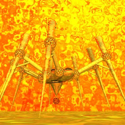 Sunscout