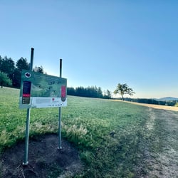 Infotafel mit Kartendarstellung am Start eines Themenwanderwegs im Schwarzwald
