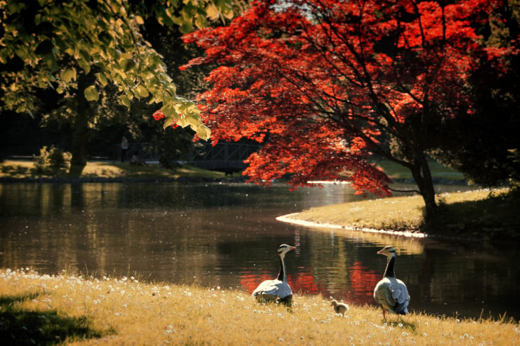 München, Englischer Garten