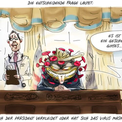 20201008 Donald Trump Virus Stefan Fichtel