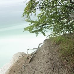 Kreidefelsen Møns Klint