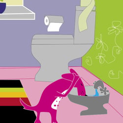 Illustrator: Hund hat Durst