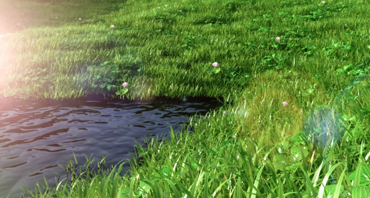 water land