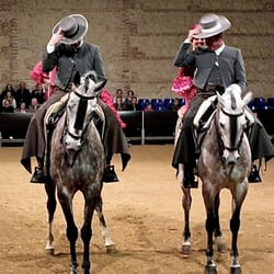 Spanische Reitschule, Cordoba