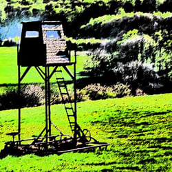 HOCHSTAND IMG 5891
