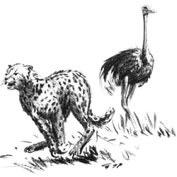 Cheetah und Strauß (Kohle)