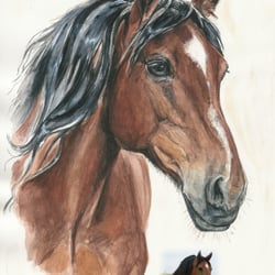 Aquarell
