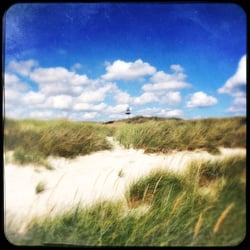 Landschaft