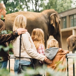visitBerlin! Image Kampagne“Berlin für Familien” – 3