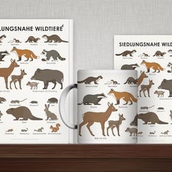 Schautafel Siedlungsnahe Wildtiere