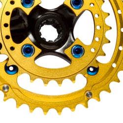 12 Reverse Chainring Race SL 2fach Crankset gold back