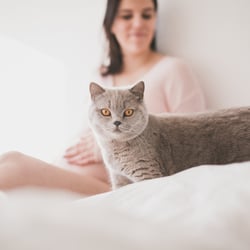 05 alexandraweissfotografie