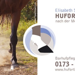 flyer-ok-190511 vorne