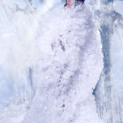 Hofstädter – Fairy Tale Calendar 2013