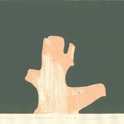 silk screen / siebdruck
