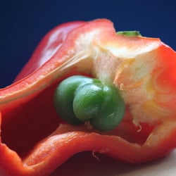 Food Fotografie 2012 Paprika in Farbe No 14