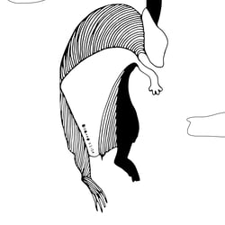 Maus