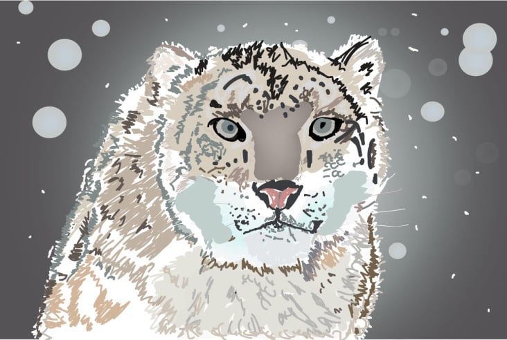 Schneeleopard