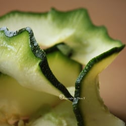 Zuchini Food Foto Übungen März 2014