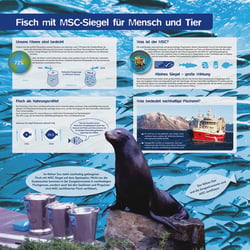 Tafel für den Zoo-Heidelberg im Auftrag des Marine Stewardship Council