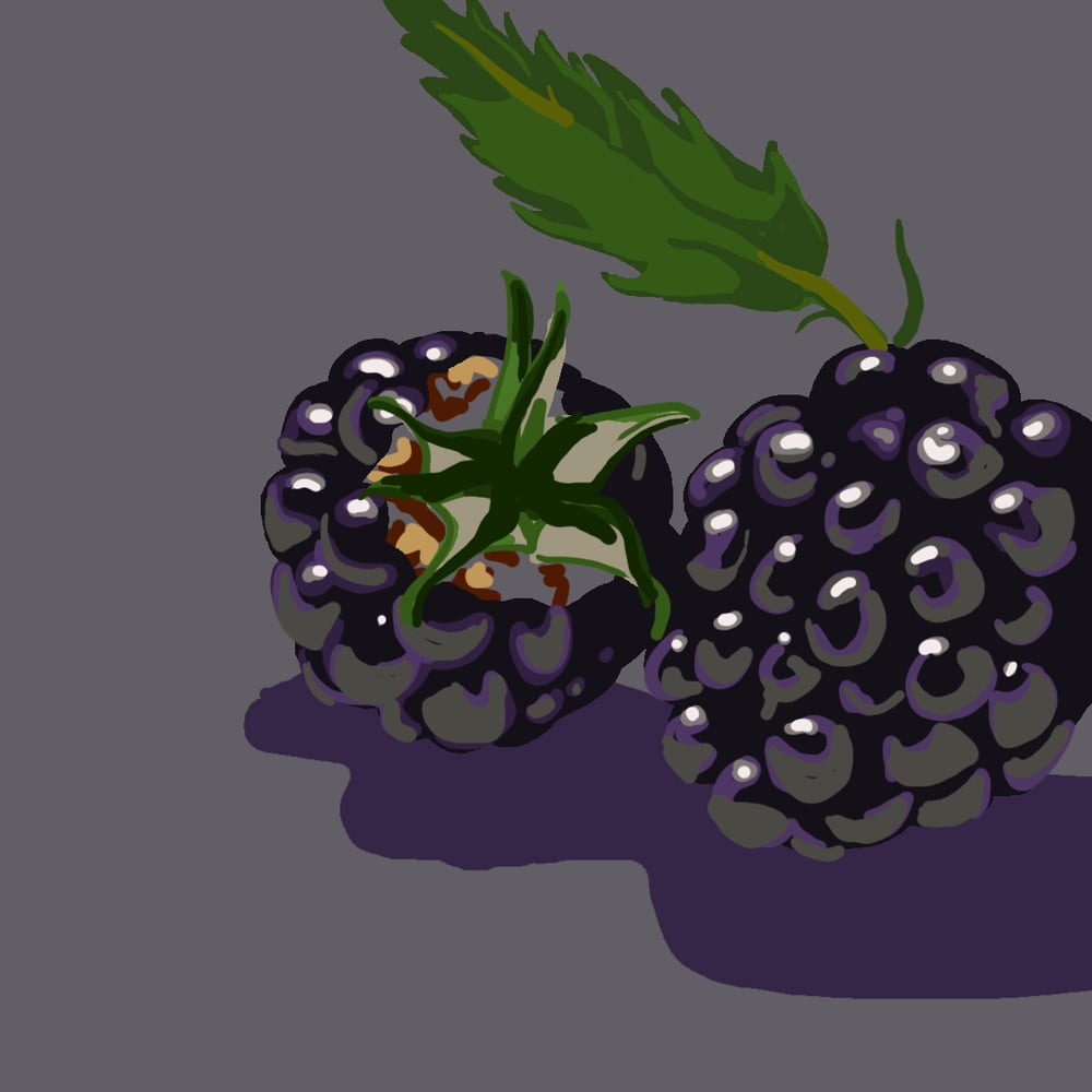 Brombeere