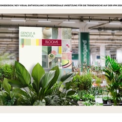 Portfolio20