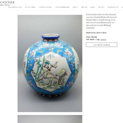 Der Eycatcher – Webauftritt