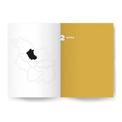 Layout