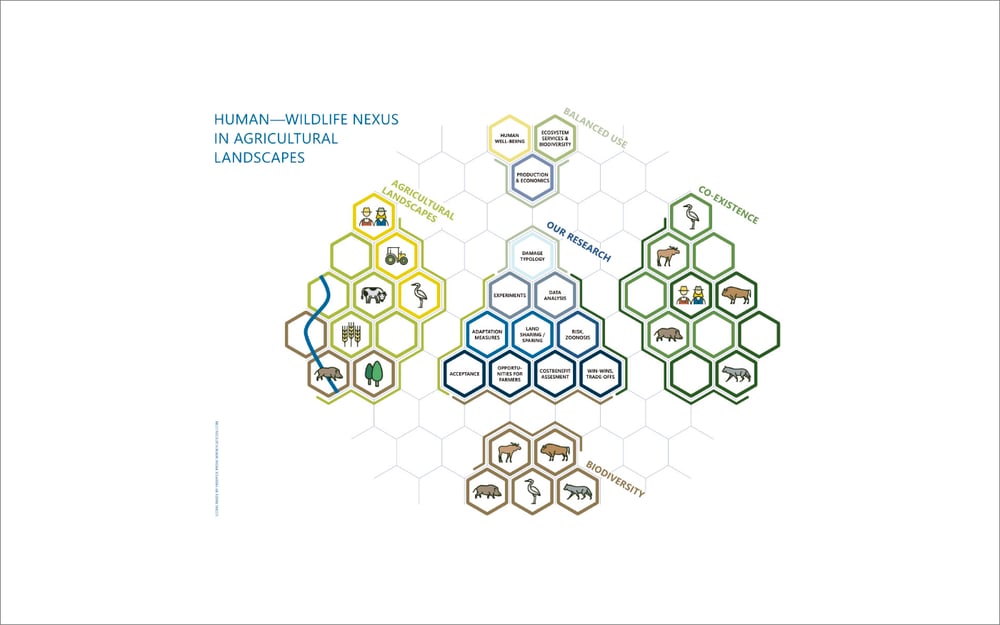 Infografik – Human—Wildlife Nexus