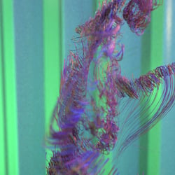 3d particles sim