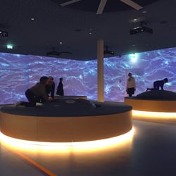 Anoha Berlin Flood Room
