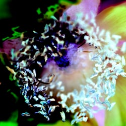 Inside