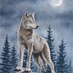 Der Wolf