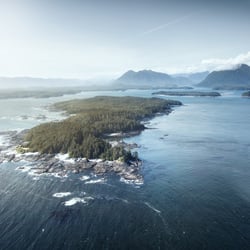 Tofino