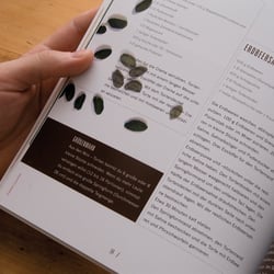 Kochbuch: Fräulein Lucullus