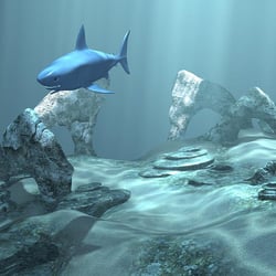 3dmax