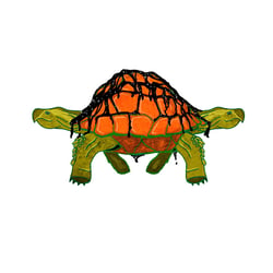 Schildkröte