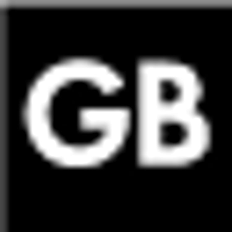 Guido Brauer