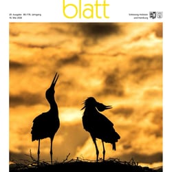Storch, Balz