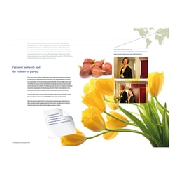 Annual Report 2 Advanzia
